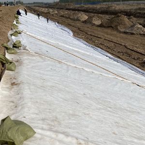 河南水利赵口灌区一标项目（长丝复合膜）